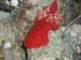 spanish dancer.jpg